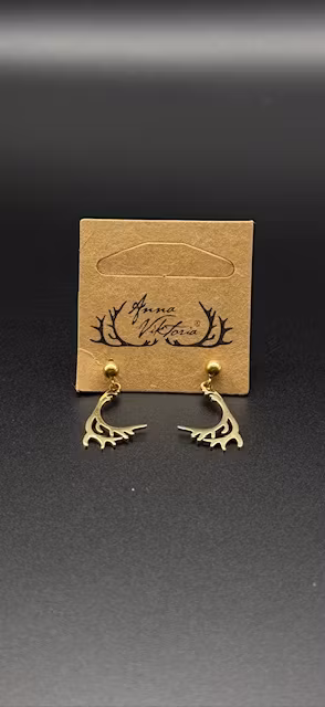 63209, Vaja Örhänge Guld