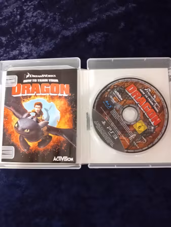 How To Train Your Dragon