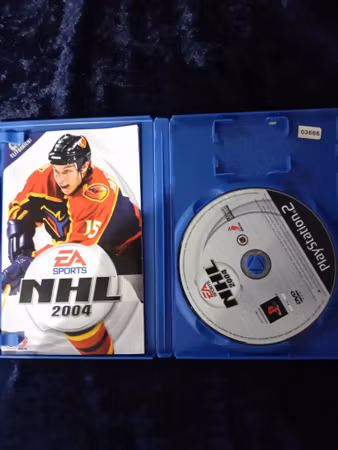 Nhl 2004
