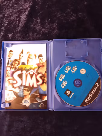The Sims