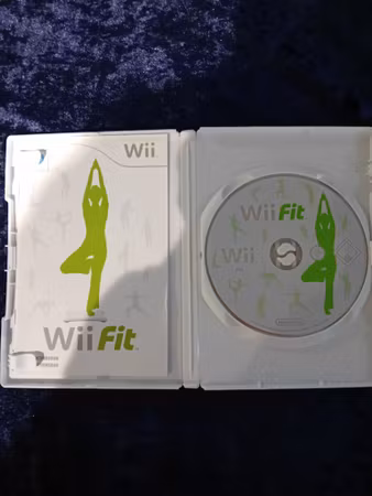 Wii fit