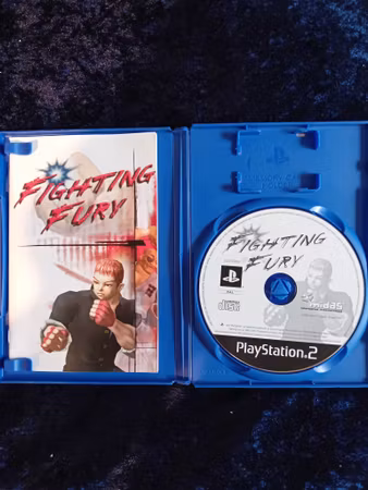 Fighting Fury