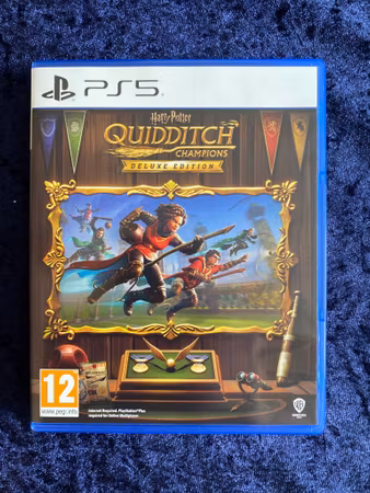 Harry Potter - Quidditch Champions