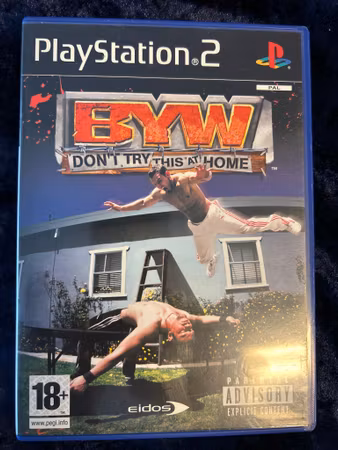 Backyard Wrestling
