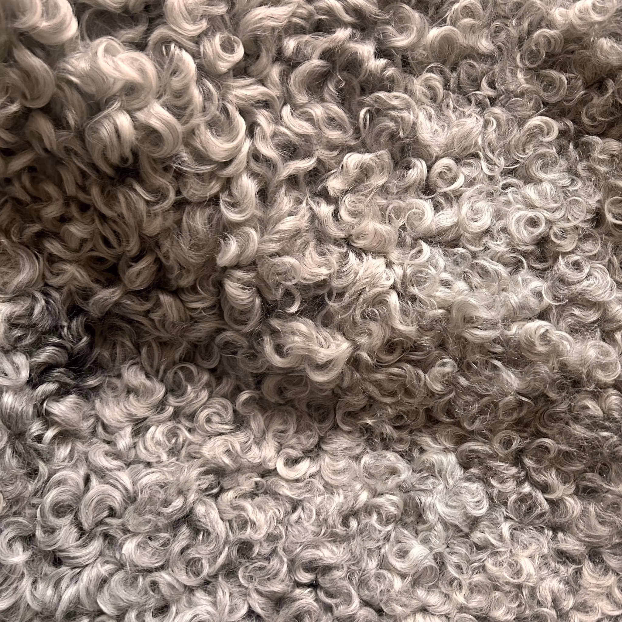 Vackert Lammskinn, nr. 2