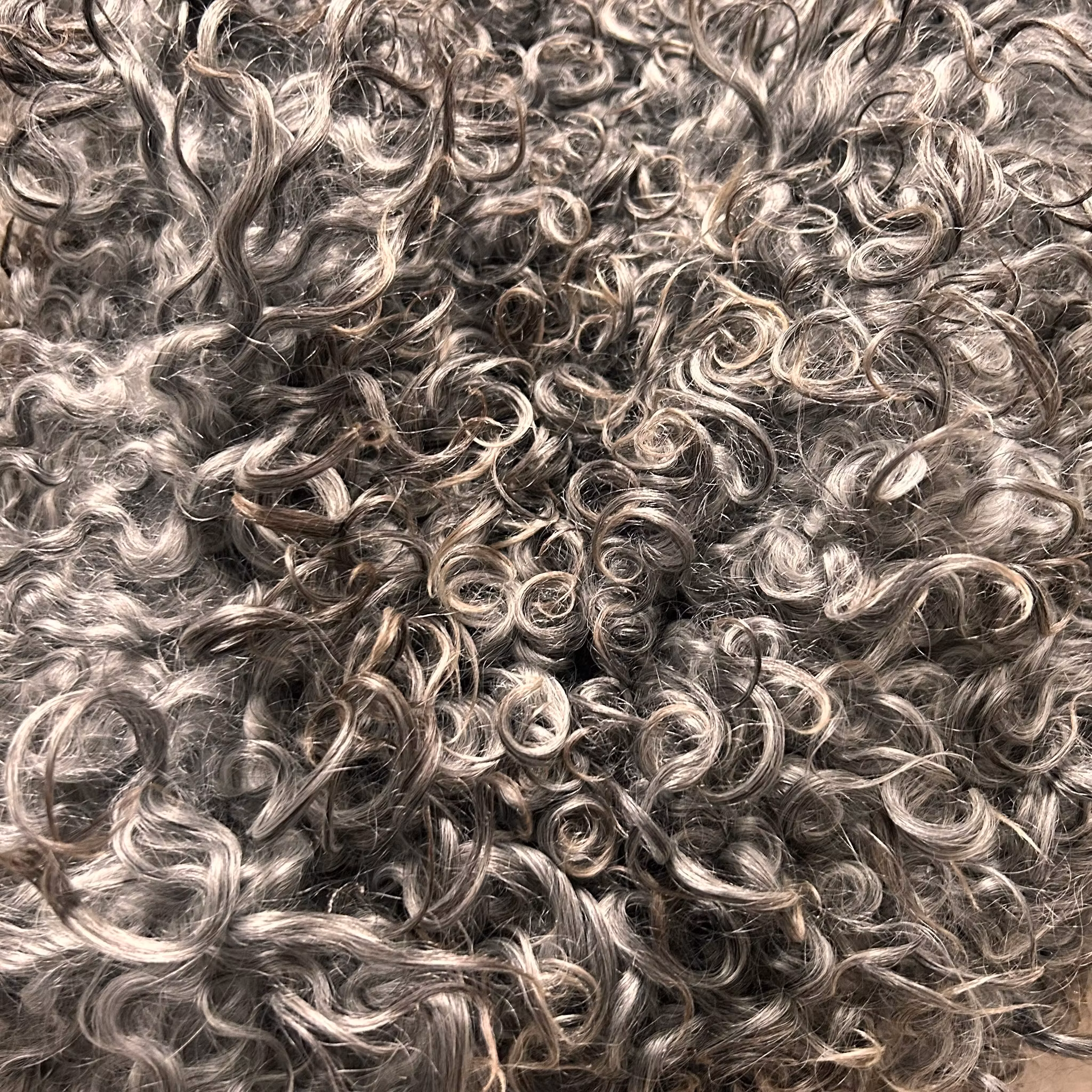 Vackert långhårigt Lammskinn, nr. 7