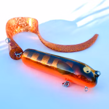 Stor tail -Kopparborre/Uv