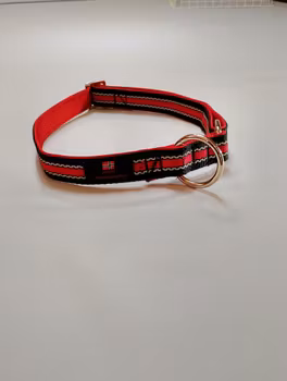 Halsbånd hund