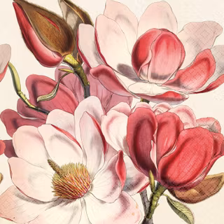 SERVETTER MED BLOMMOTIV