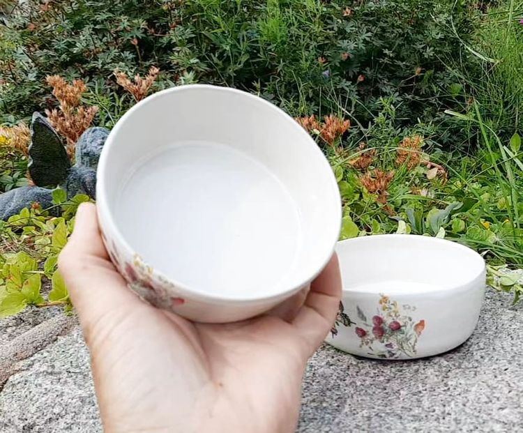 SKÅL BLOMMA FJÄRIL