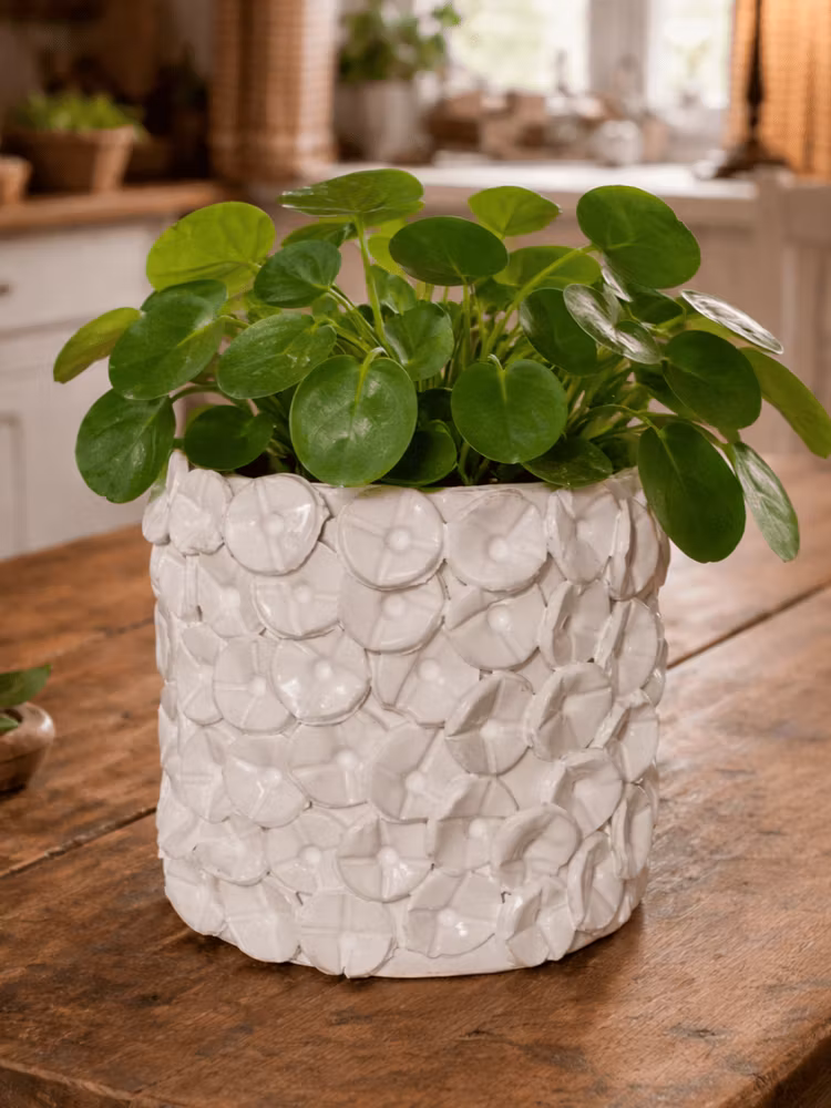 VIT BLOMKRUKA I HANDGJORD KERAMIK