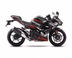 "Venom" Graphics  - Fits Ninja 400