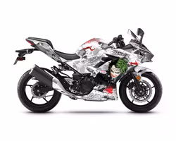 "Joker" Graphics - Fits Ninja 400