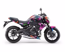 Purge Graphics - Fits ER-6n