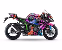 "Purge" Graphics - Fits ZX-10R