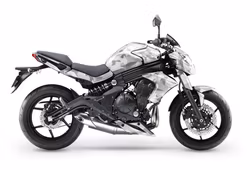 Graphics "Camo" - Fits ER-6n