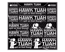 Hawk Tuah sticker kit