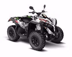 Renegade 850 XXC Graphics - "Joker"