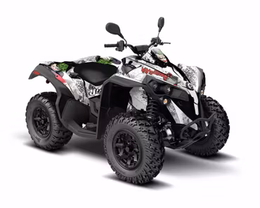 Renegade 850 XXC Graphics - "Joker"