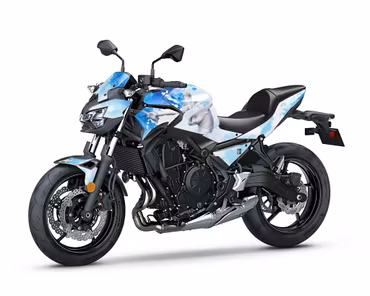 Dragontrainer Graphics - Fits Z650