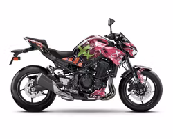 "Scratch" Graphiques - Pour Z900