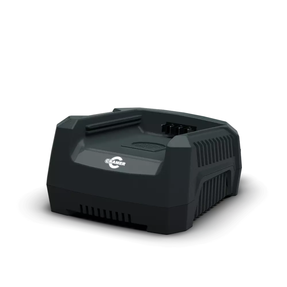 82C1G 82V 4A Professionell snabbladdare