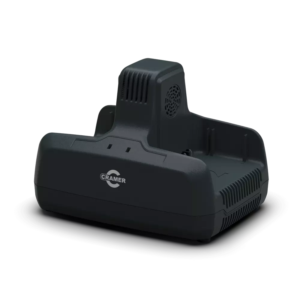 82C2 82V 8A Professionell snabbladdare med dubbla laddningsplatser