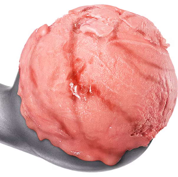 Hallon- SORBET 5 Liter