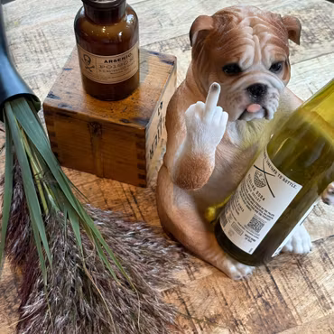 Dariel cool vinhållare hund som visar fingret
