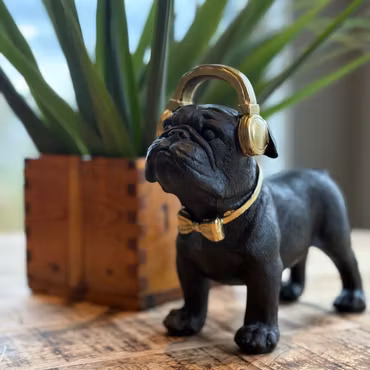 Bosse bulldog hund med hörlurar