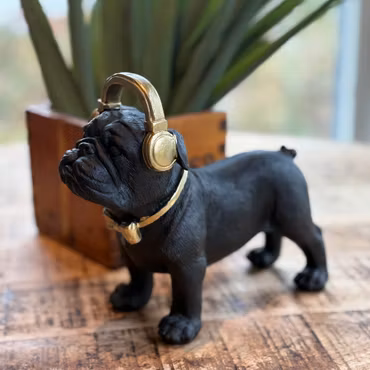 Bosse bulldog hund med hörlurar