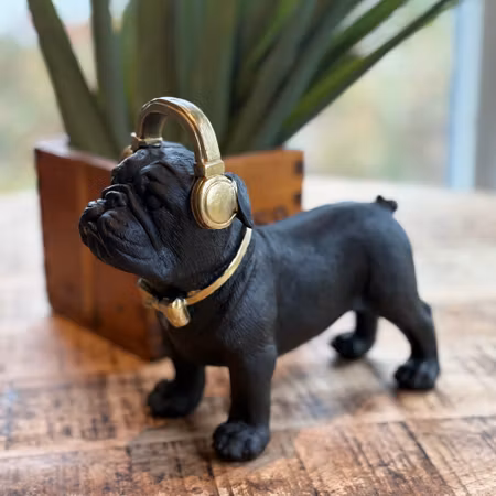 Bosse bulldog hund med hörlurar