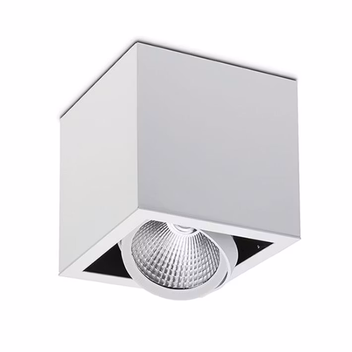 TAKSPOTLIGHT Z1 BOX 1X2516LM