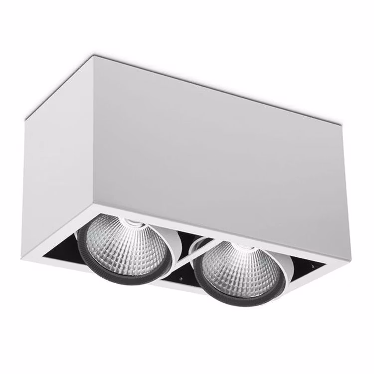 TAKSPOTLIGHT Z2 BOX 2X2516LM