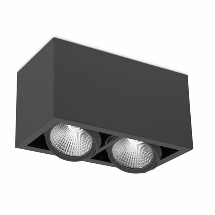 TAKSPOTLIGHT Z2 BOX 2X2516LM