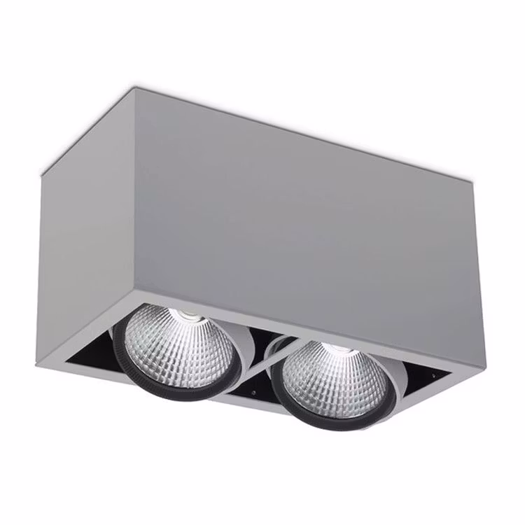 TAKSPOTLIGHT Z2 BOX 2X2516LM
