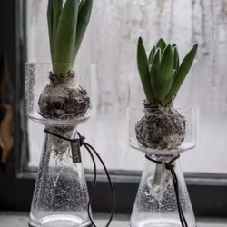 Lökvas bubbligt glas 20 cm