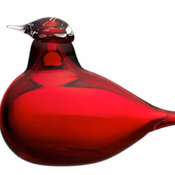 Birds by tiokka, little tern