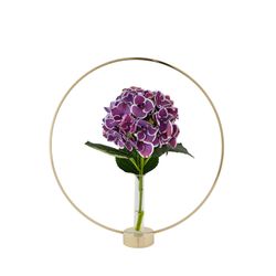 Glasinsats flora till gloria