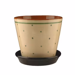 Kruka grön prickig med fat