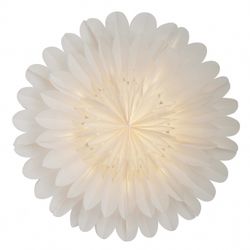 Julstjärna Lotus 60 vit
