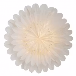 Julstjärna Lotus 60 vit