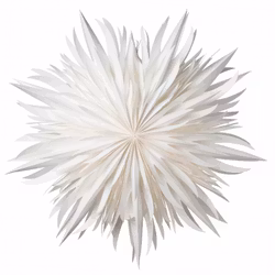 Julstjärna Eldig 52 vit