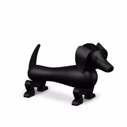 Hund liten