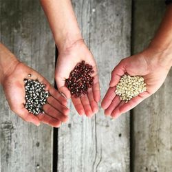 Popcorn presentförpackning 3x380g