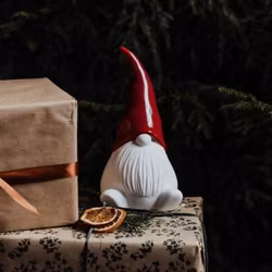 Tomten Noel