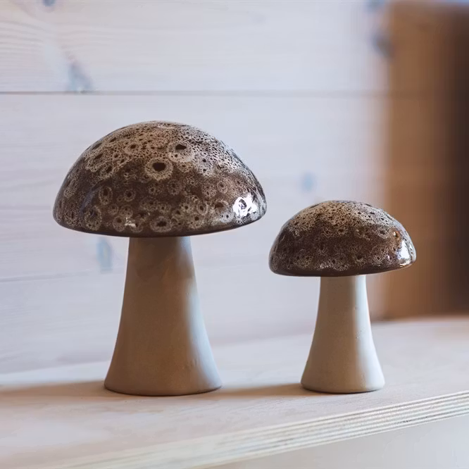 Dekorationssvamp fungus liten