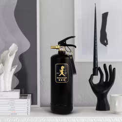 Brandsläckare 2 kg svart/guld