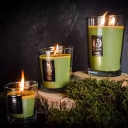 Doftljus Ancient Oakwoods