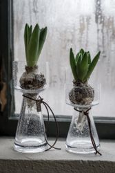 Lökvas bubbligt glas 15 cm